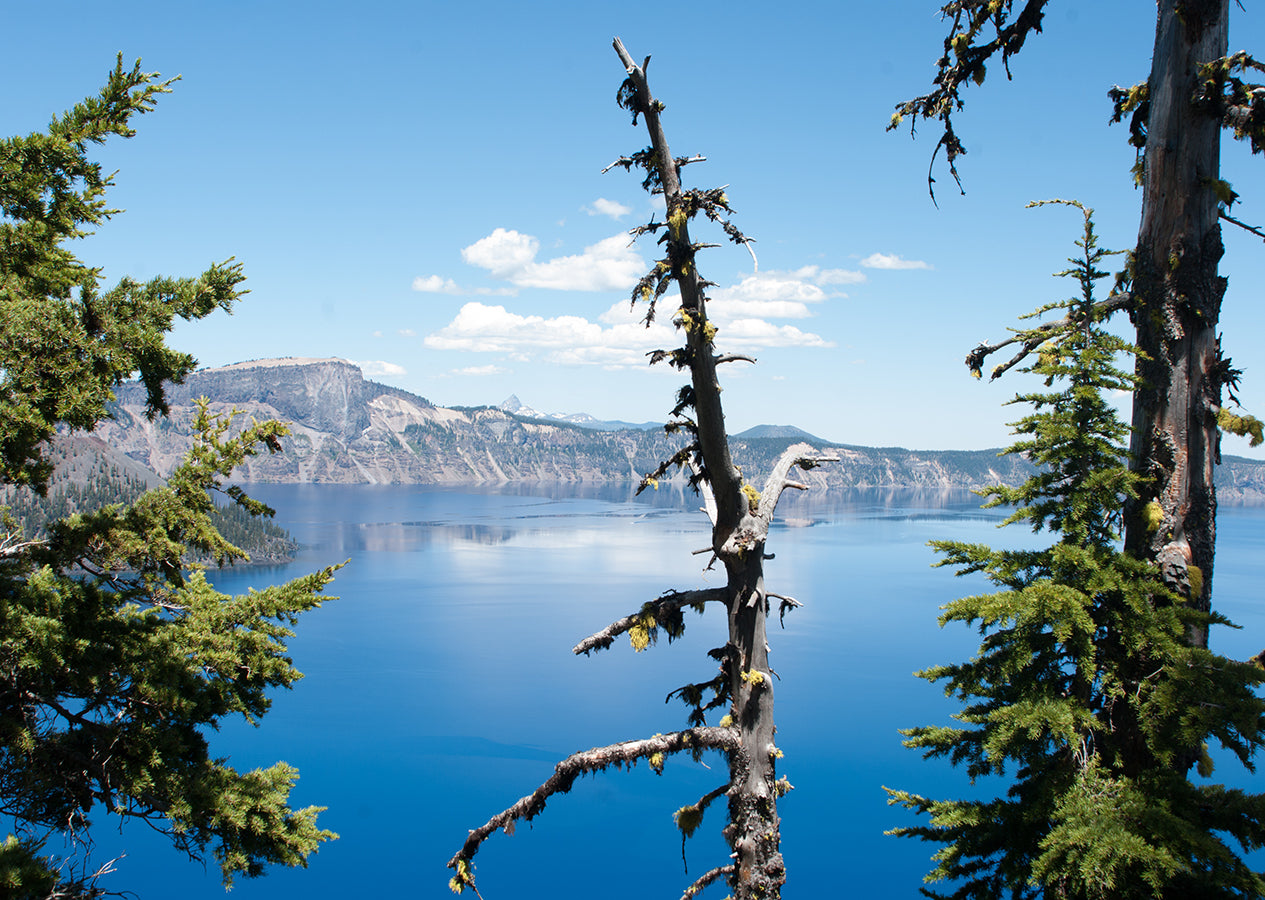 The Deep Blue III Crater Lake Oregon Fine Art Print -