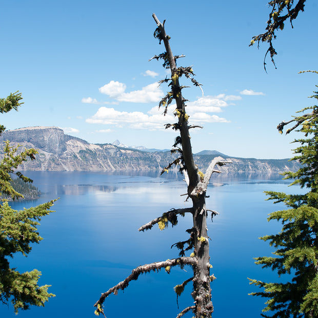 The Deep Blue III Crater Lake Oregon Fine Art Print -