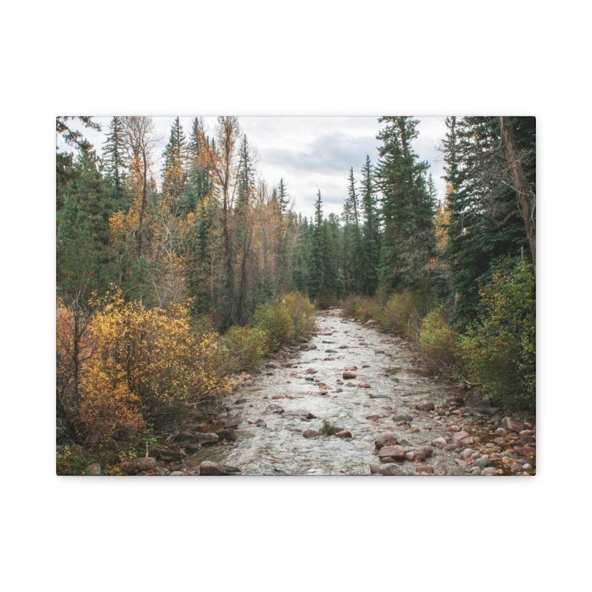Autumn River in Colorado – Matter Leinwanddruck – fertig zum Aufhängen