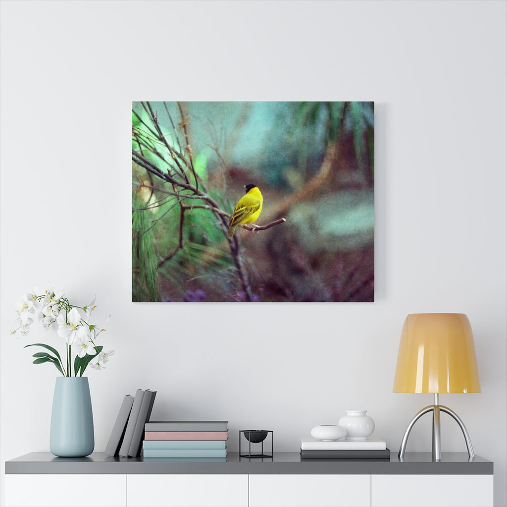 Yellow Bird Canvas Gallery Wraps Colorful Film Photography