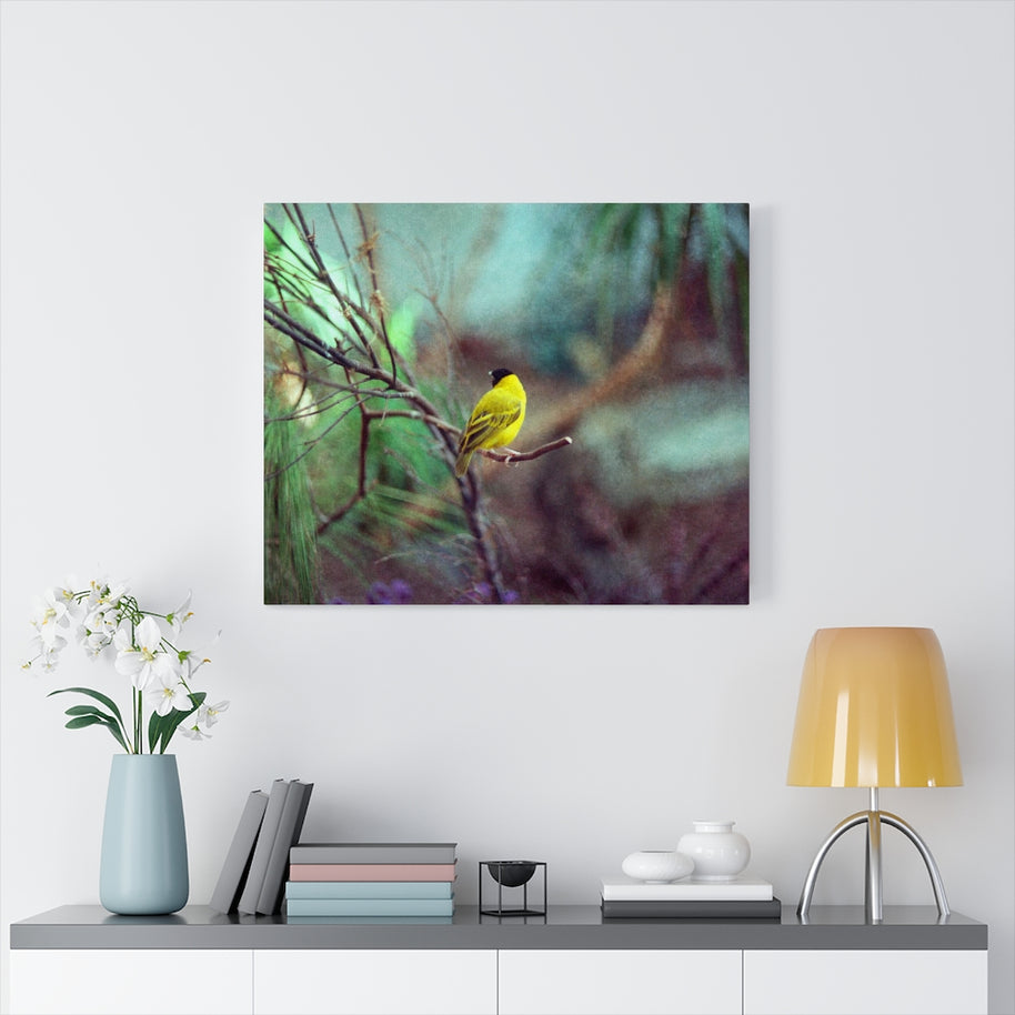 Yellow Bird Canvas Gallery Wraps Colorful Film Photography