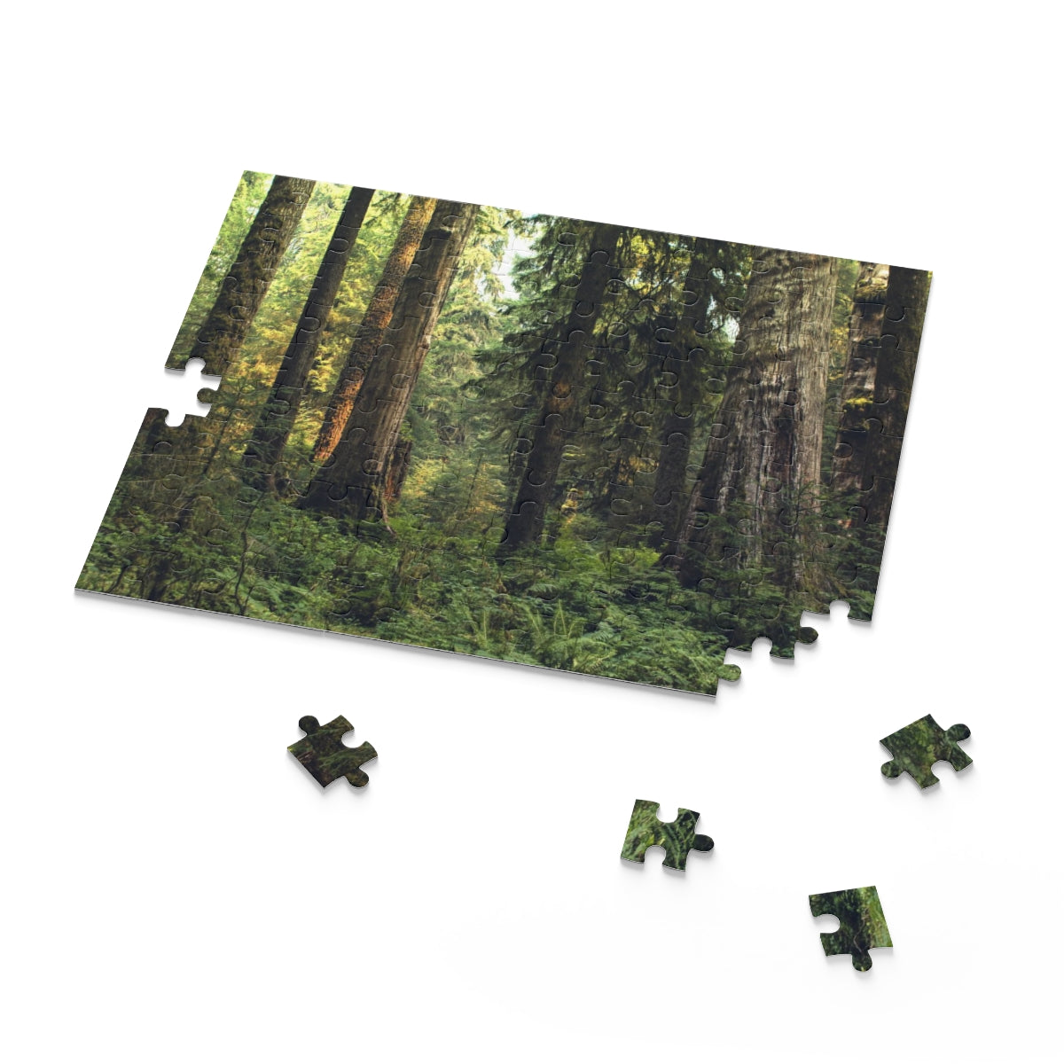 Pacific Northwest Forest Jigsaw Puzzle 252 or 500 Piece -