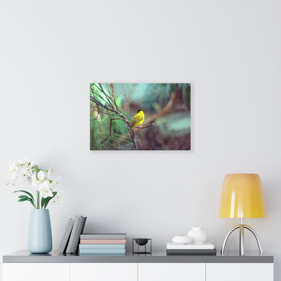 Yellow Bird Canvas Gallery Wraps Colorful Film Photography