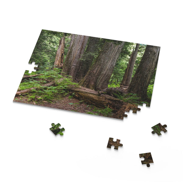 Cedar Grove Jigsaw Puzzle 252 or 500 Piece - Lush Forest