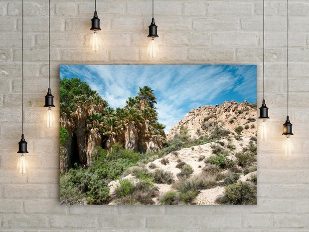 Desert Oasis, Joshua Tree, California Lost Kat Photography