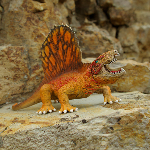 Dimetrodon Dinosaur Photo Art Print Fun Photography Decor