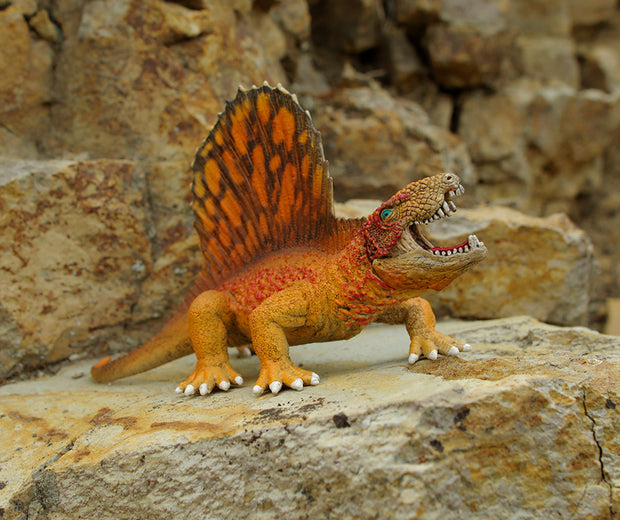 Dimetrodon Dinosaur Photo Art Print Fun Photography Decor