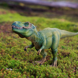 T-Rex Finds a Meadow Photo Art Print Fun Photography Decor