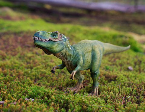 T-Rex Finds a Meadow Photo Art Print Fun Photography Decor