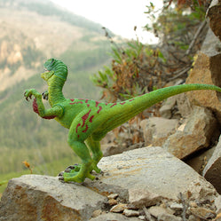 Velociraptor Dinosaur Photo Art Print Fun Photography Decor