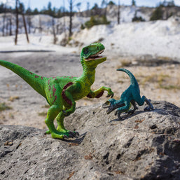 Velociraptor and Friend Photo Art Print Fun Photography
