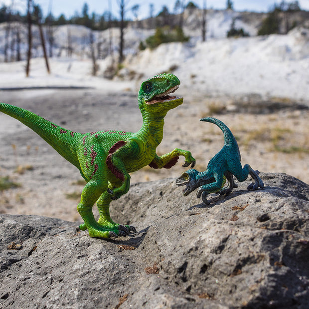 Velociraptor and Friend Photo Art Print Fun Photography