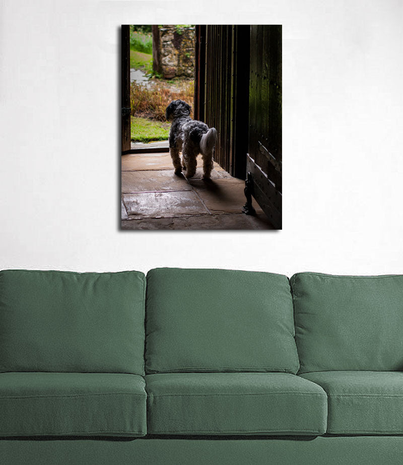 Dog in the Garden Kent, UK Wall Art Print
