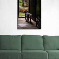 Dog in the Garden Kent, UK Wall Art Print