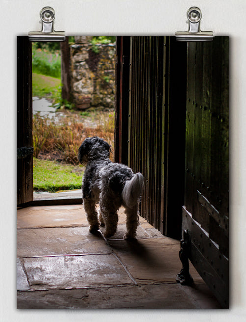 Dog in the Garden Kent, UK Wall Art Print