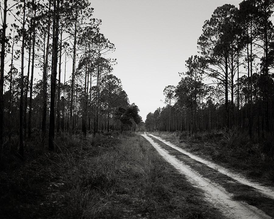 Down By Law, Black and White Photography Lost Kat Photography