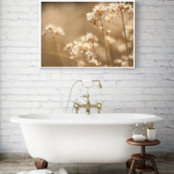 Dreams of Summer, Botanical Photography Lost Kat Photography