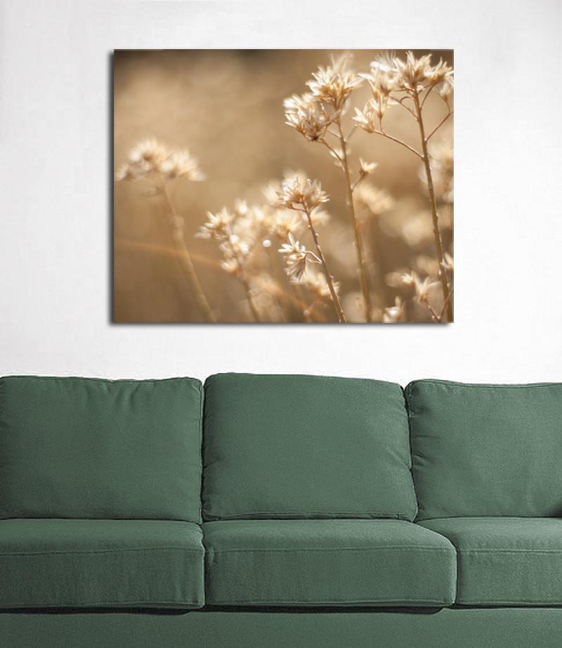 Dreams of Summer, Botanical Photography Lost Kat Photography