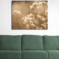 Dreams of Summer, Botanical Photography Lost Kat Photography