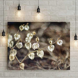 Dried Hearts, Botanical Print Lost Kat Photography