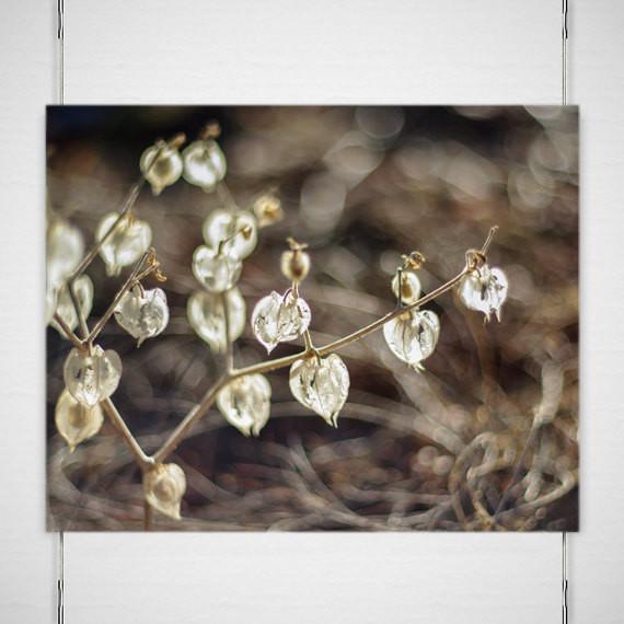 Dried Hearts, Botanical Print Lost Kat Photography