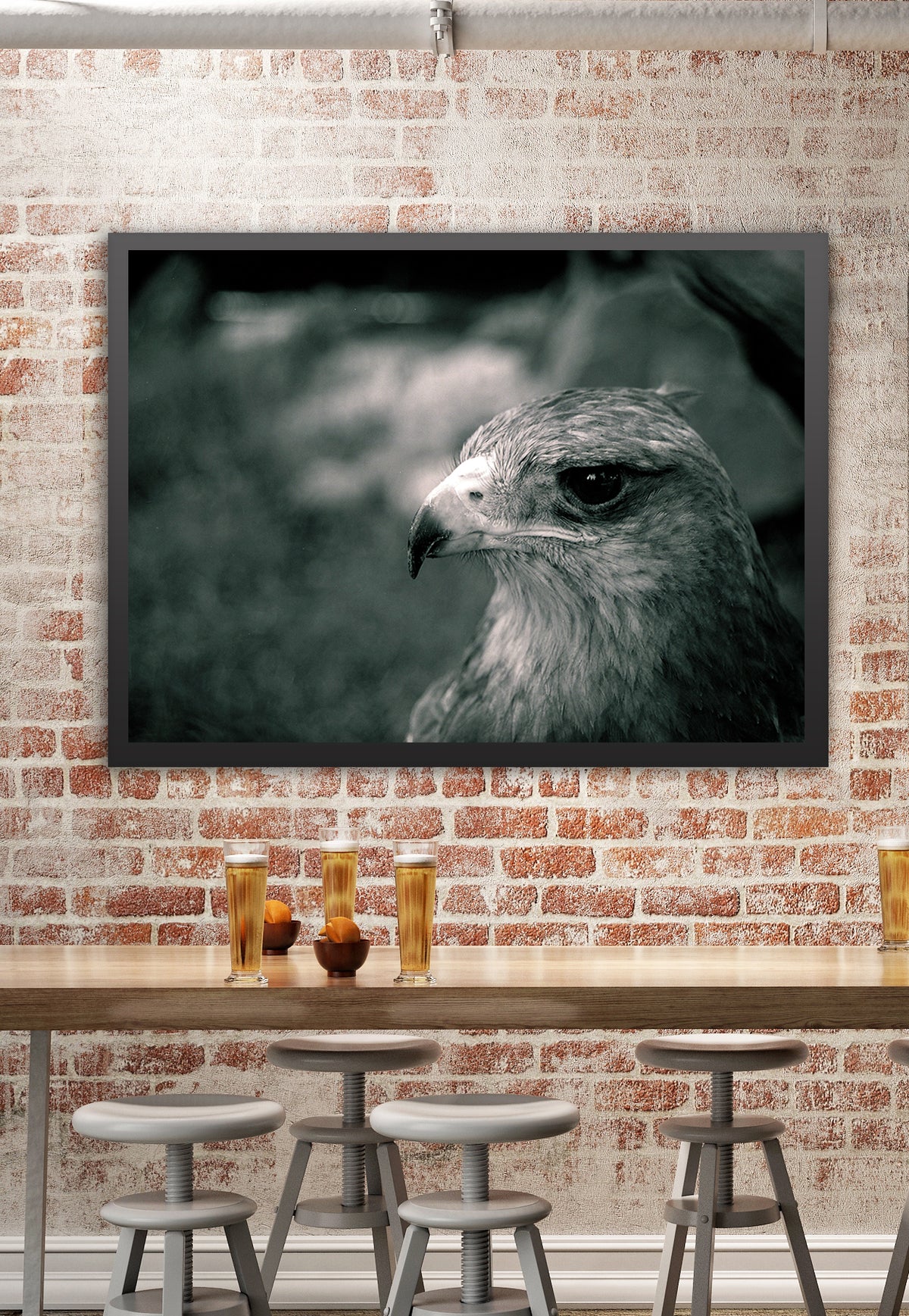 Crowned Solitary Eagle Photo Print Black and White Film -