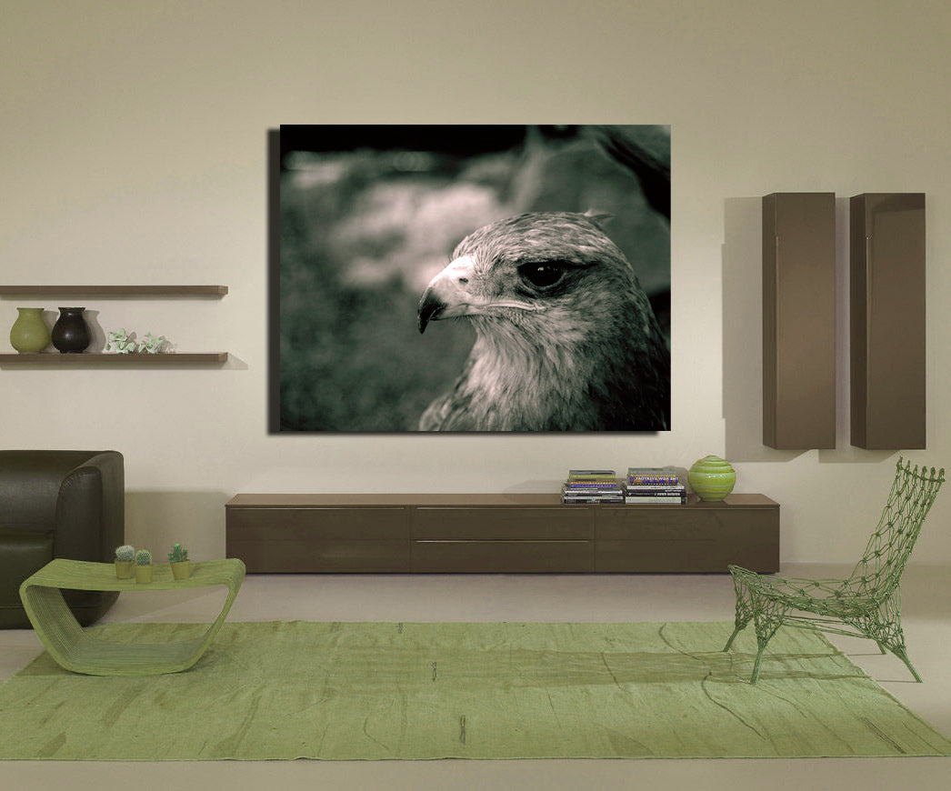 Crowned Solitary Eagle Photo Print Black and White Film -