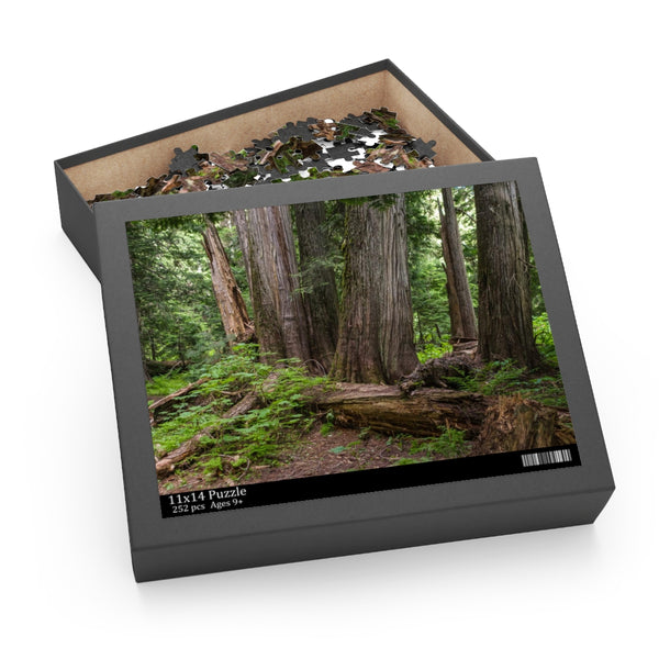 Cedar Grove Jigsaw Puzzle 252 or 500 Piece - Lush Forest