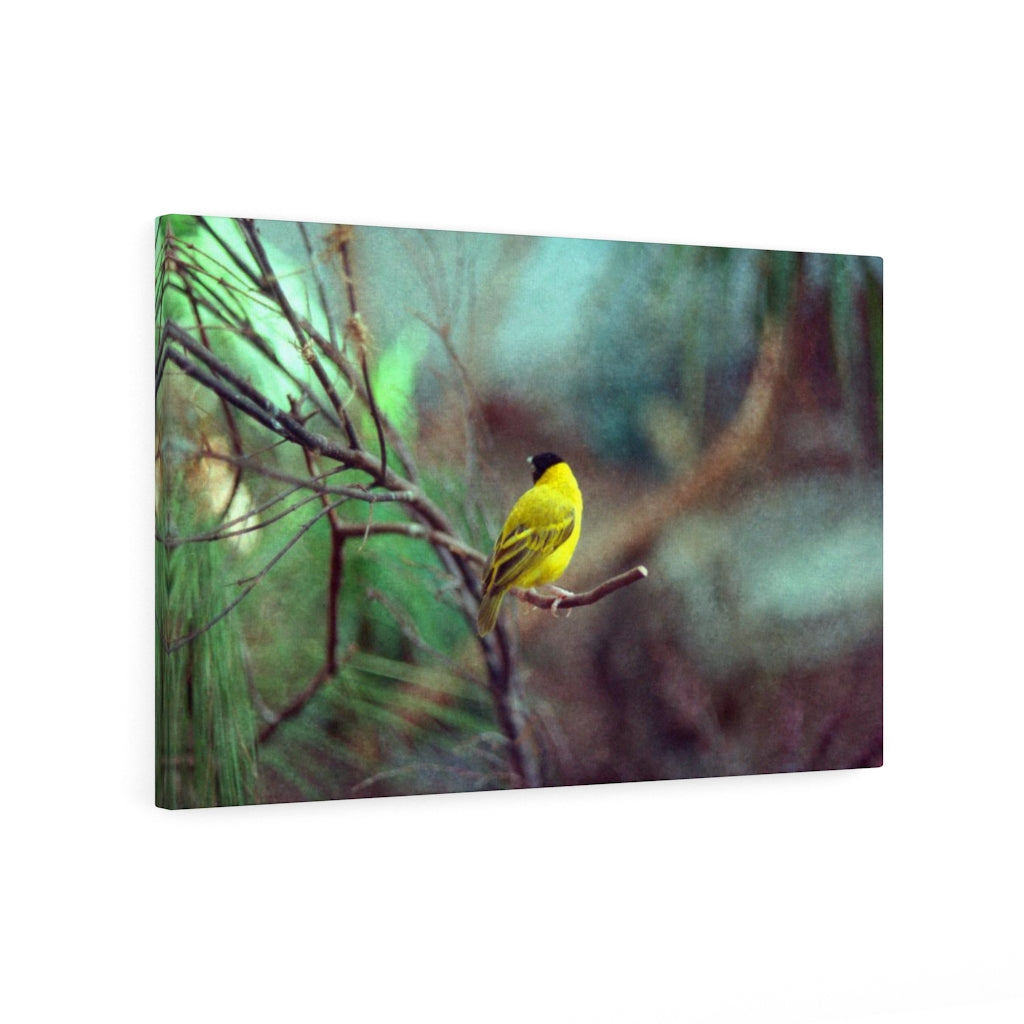 Yellow Bird Canvas Gallery Wraps Colorful Film Photography -