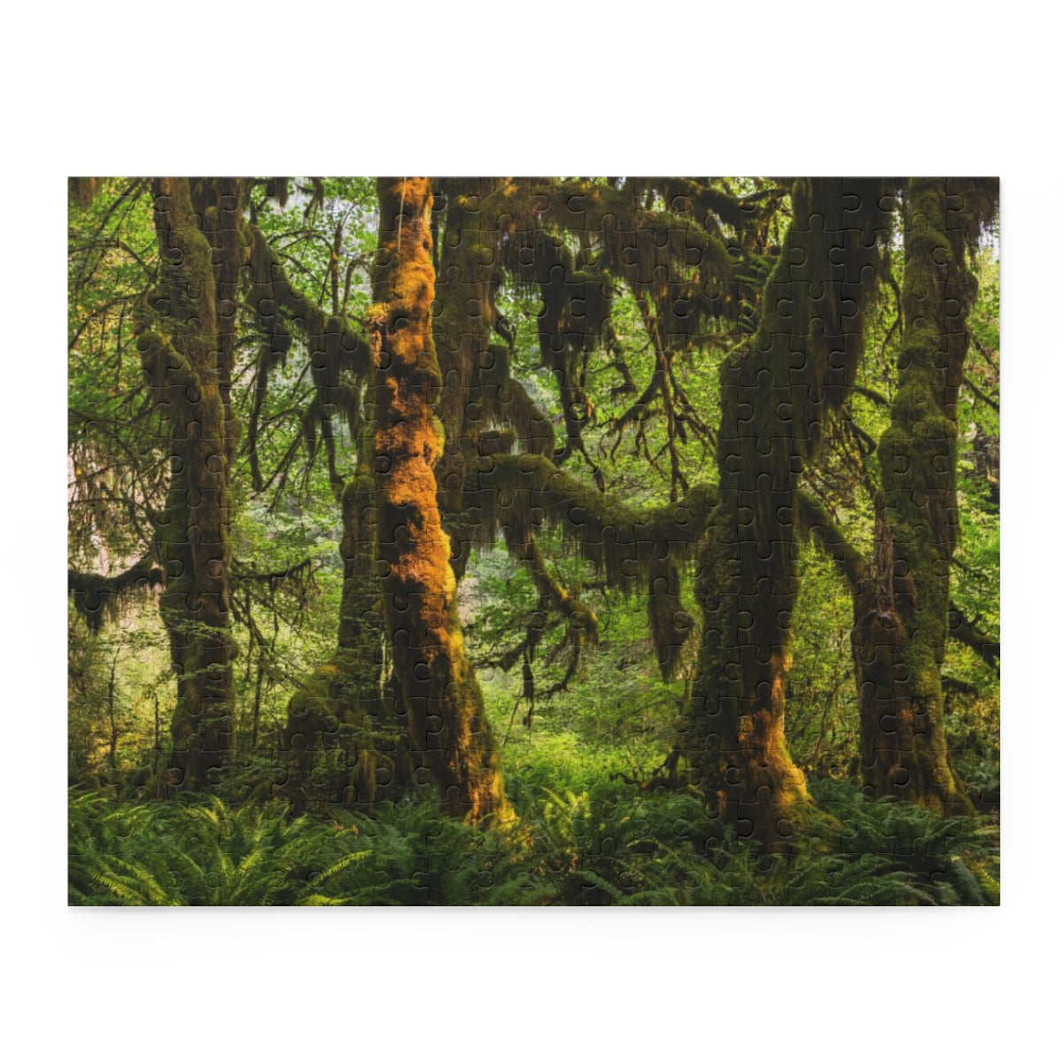 Mossy Forest Jigsaw Puzzle 252 or 500 Piece - Olympic