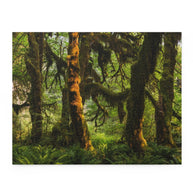 Mossy Forest Jigsaw Puzzle 252 or 500 Piece - Olympic