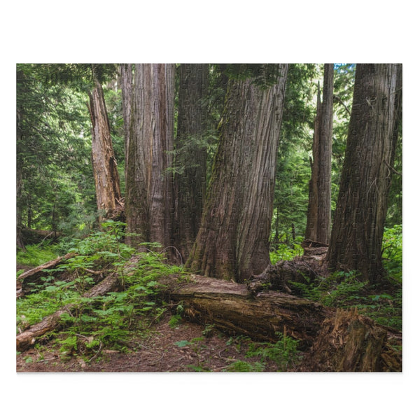 Cedar Grove Jigsaw Puzzle 252 or 500 Piece - Lush Forest