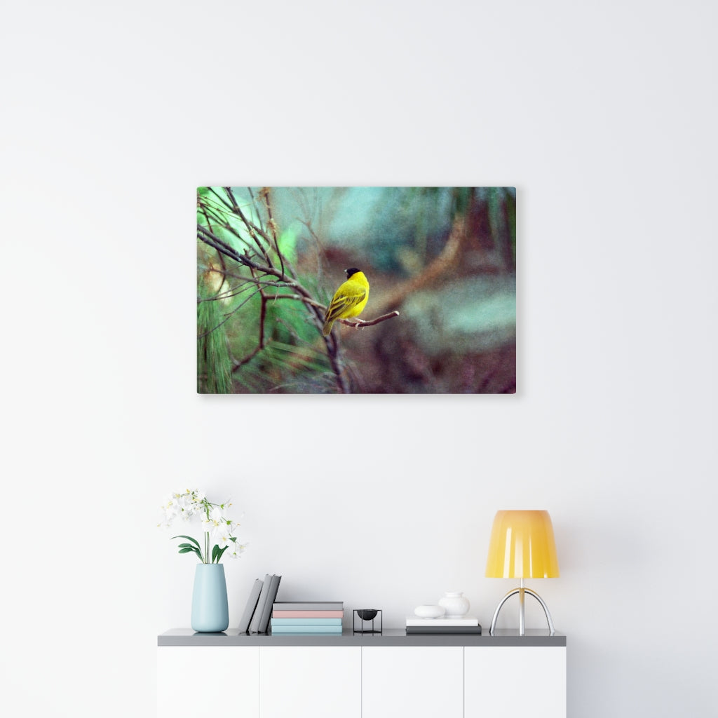 Yellow Bird Canvas Gallery Wraps Colorful Film Photography