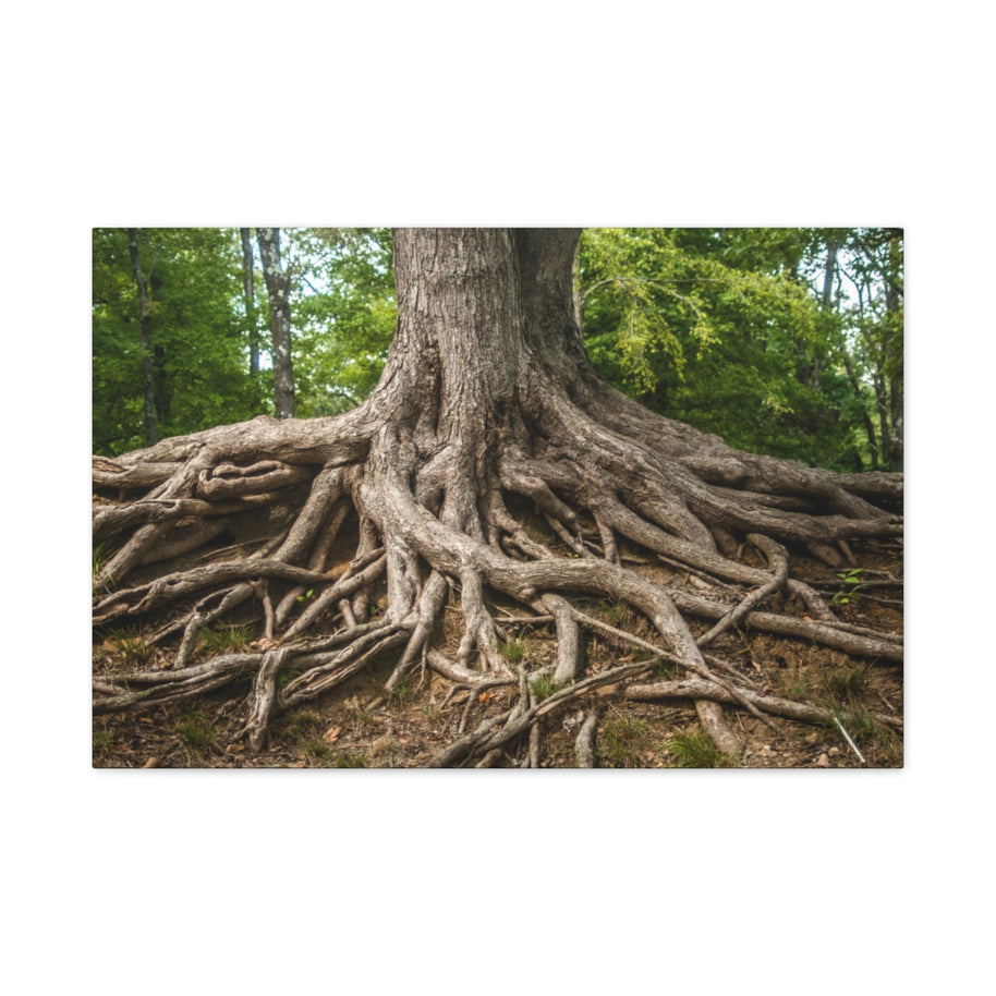 Impression sur toile mate « Racines de l'arbre de vie » - Prêt à accrocher