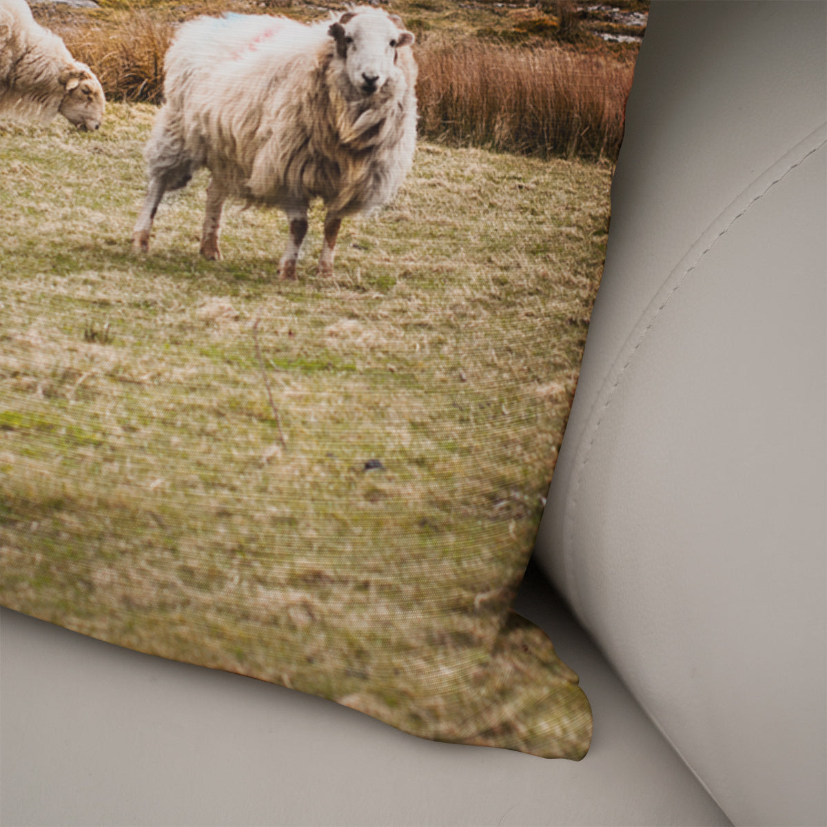Sheep in Wales Decorative Throw Pillow Cover - Pillows