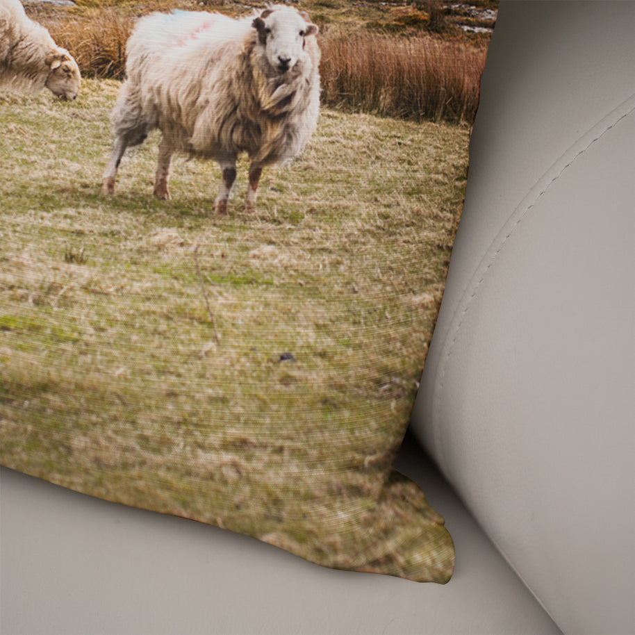 Sheep in Wales Decorative Throw Pillow Cover - Pillows