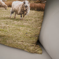 Sheep in Wales Decorative Throw Pillow Cover - Pillows