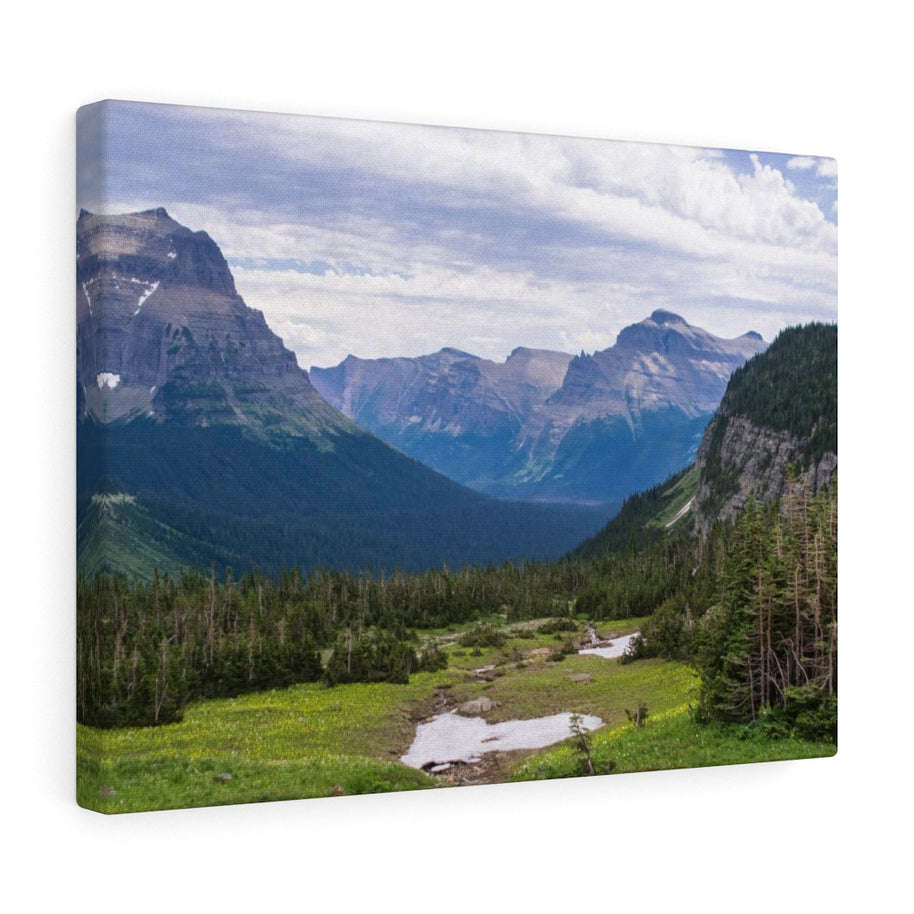 Logan Pass Glacier National Park Leinwand-Galeriefolie
