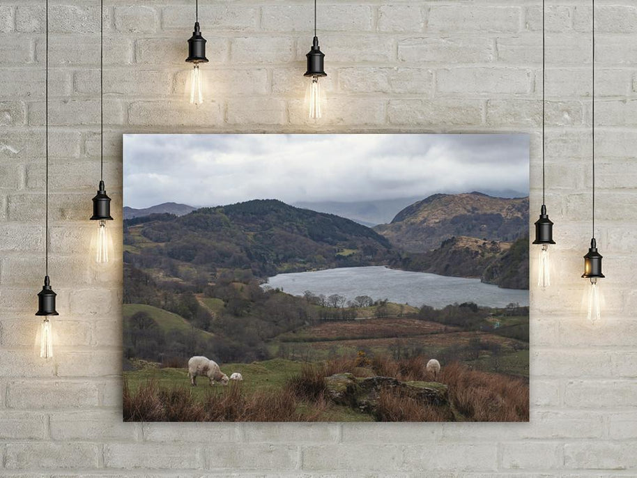 Farm in Welsh Valley Fine Art Print Lost Kat Photography