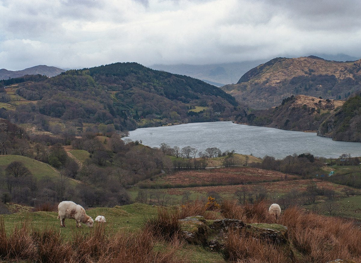 Farm in Welsh Valley Fine Art Print Lost Kat Photography