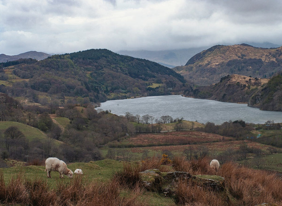 Farm in Welsh Valley Fine Art Print Lost Kat Photography