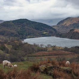 Farm in Welsh Valley Fine Art Print Lost Kat Photography