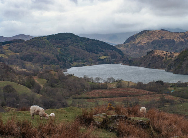 Farm in Welsh Valley Fine Art Print Lost Kat Photography
