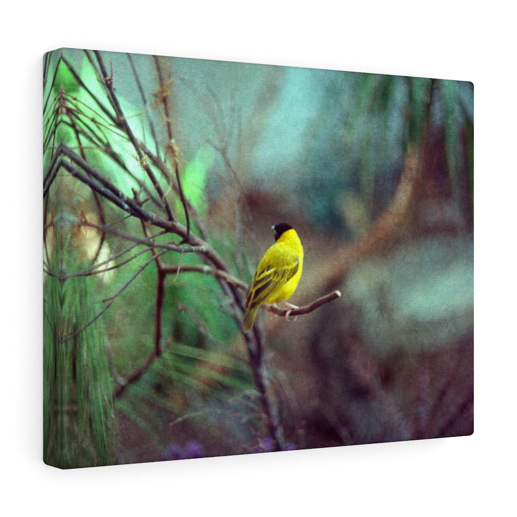 Yellow Bird Canvas Gallery Wraps Colorful Film Photography -