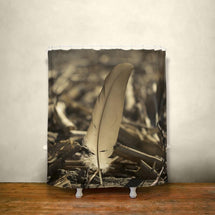 Feather on Beach, Nautical Shower Curtain Lost In Nature