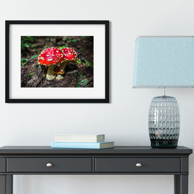 Amanita Muscaria Photo Print - Ready to Frame - Photography