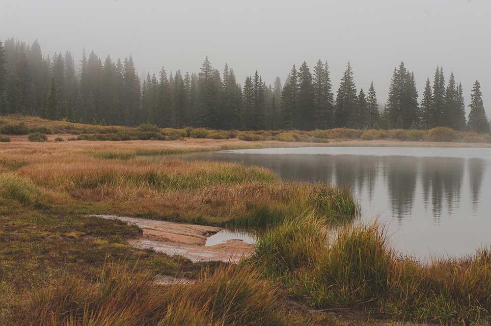 Foggy Lake Colorado - Photography