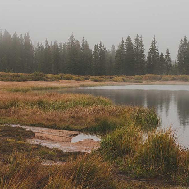 Foggy Lake Colorado - Photography