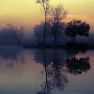 Foggy Lake Sunrise Louisiana Nature Wall Art Print -