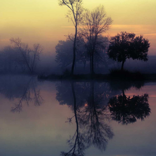 Foggy Lake Sunrise Louisiana Nature Wall Art Print -